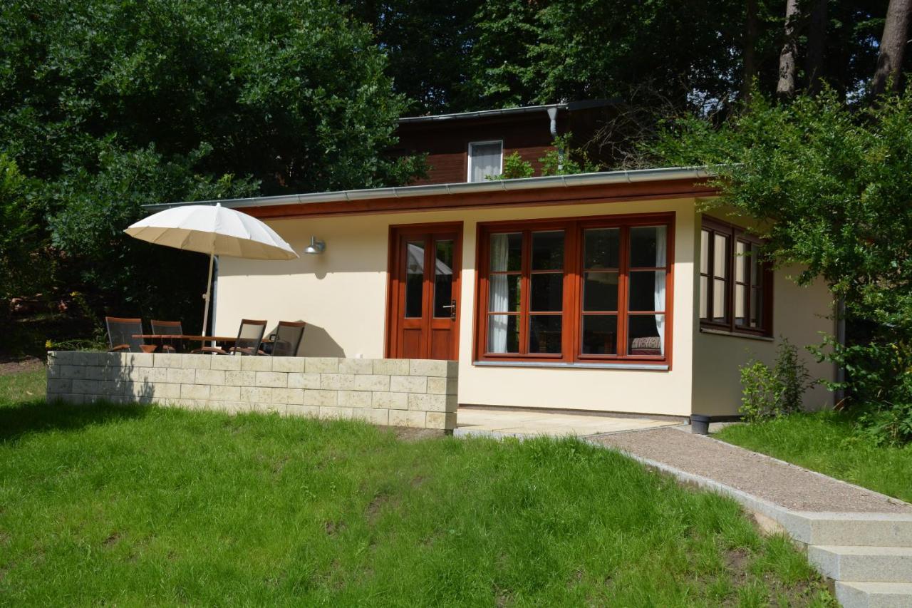 Bungalows Am Waldessaum Bei Hohenzieritz Zewnętrze zdjęcie