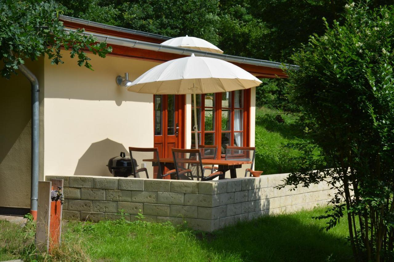 Bungalows Am Waldessaum Bei Hohenzieritz Zewnętrze zdjęcie